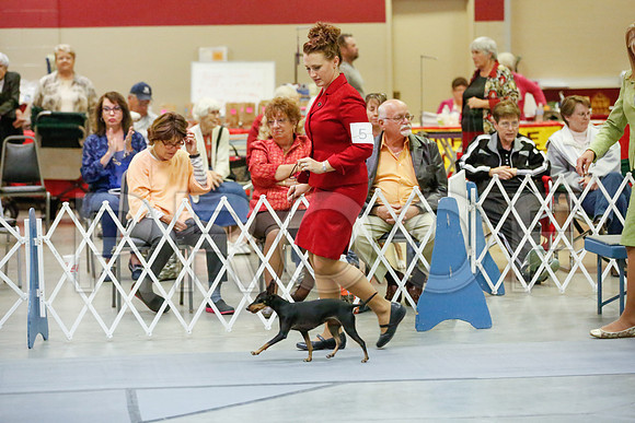 _JJ_0617-AmarilloSept2014-HR3
