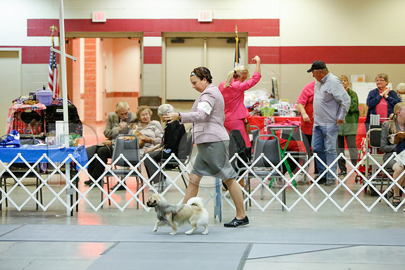 _JJ_4033-AmarilloSept2014-HR3