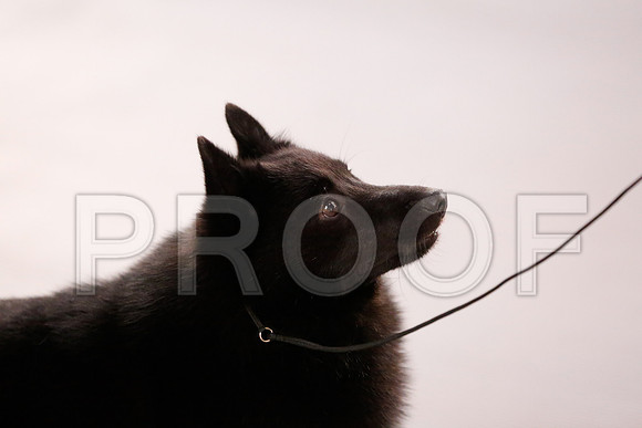 _RH_6390-CarlrolltonSept2014-HR3