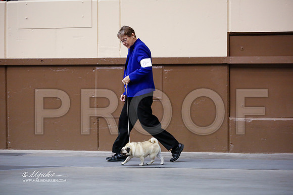 pug-2844-SANov13-HR