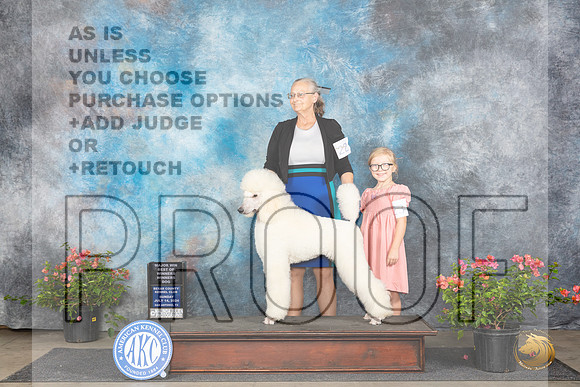 Poodle Std #23 Sun WDBOWM Judge Elizabeth ‘Beth’ Sweigart__JP_6175_San Antonio_2024_HR3