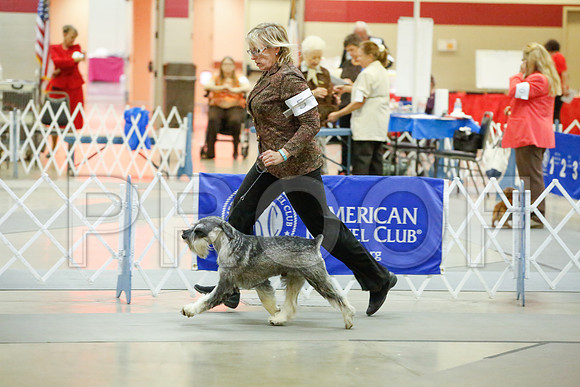 _JJ_9458-AmarilloSept2014-HR3