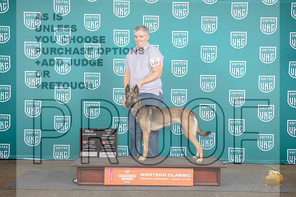 Belgian Shepherd #429 Sun BOV NCH Judge Matt Proctor__JP_1663_Longview WA_2024_HR3