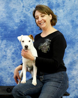 Parson Russell Terrier Annette Rogers