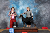 Doberman Pinscher #8 Sat OHG1 Judge Nikki Riggsbee