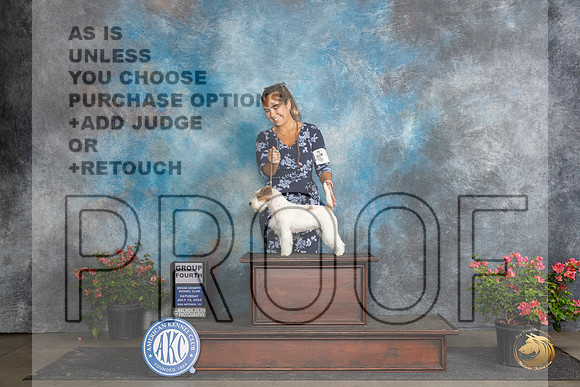 Parson Terrier #6 Sat G4 Judge Victor Rosado__JP_5372_San Antonio_2024_HR3