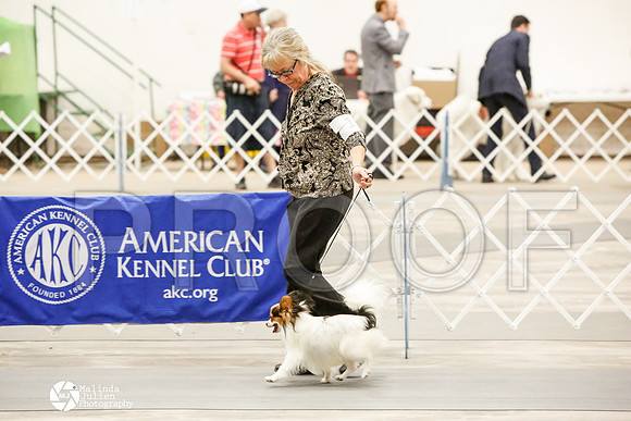 _CK_7455-AblnMay2014-web