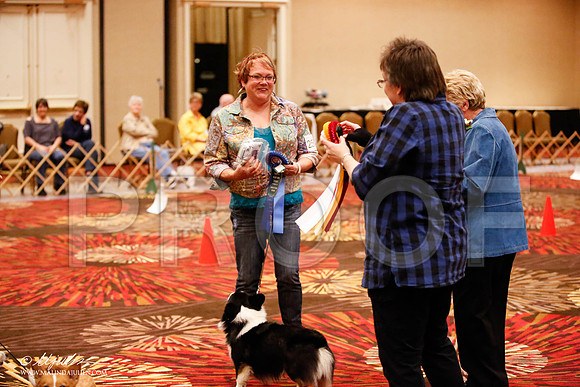 _JJ_7739-HstnCorgiFeb2015-HR3