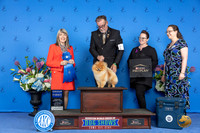 Pomeranian #15 THUR G1 Judge Angela Pickett