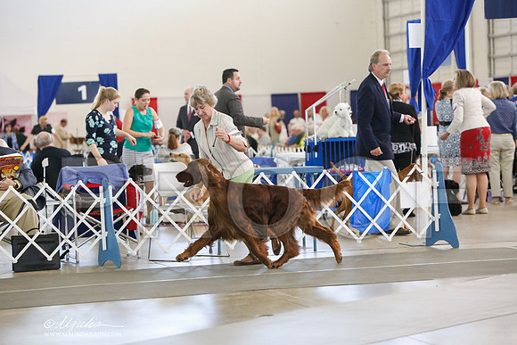 _JJ_0010-DallasJul2014-HR3