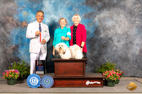 Havanese #12 Fri BOSNGCh Judge George Milutinovich