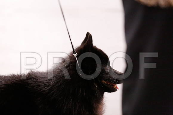 _RH_7052-CarlrolltonSept2014-HR3