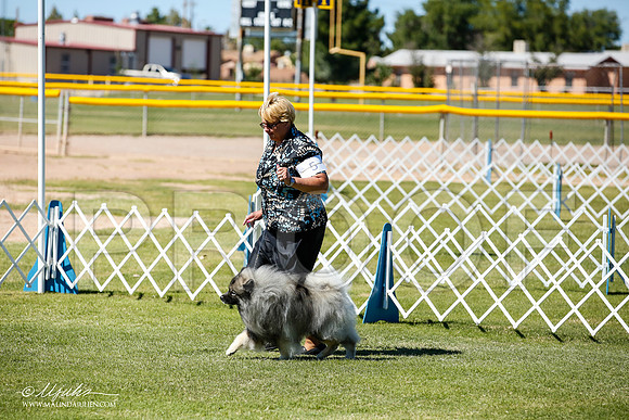 _JN_9133-AlamogordoOct2014-HR3