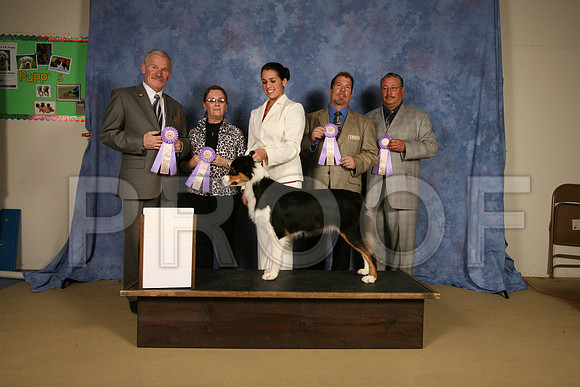 IMG_9499