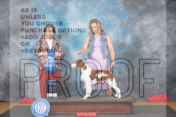 Brittany #5 Sat G1 Judge Nikki Riggsbee__JP_0345_Sulphur Springs_2024_HR3