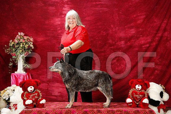 _ST_2929-2-BeltonJan2015IABCA-HR3