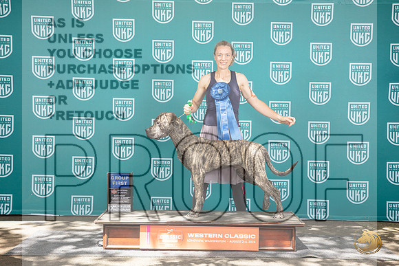 South African Boerboel #149 Sun G1 Judge Kathrine Short__JP_1859_Longview WA_2024_HR3