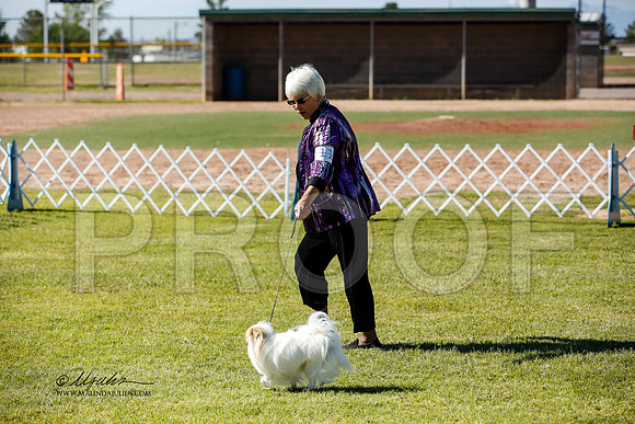 _JN_0504-AlamogordoOct2014-HR3