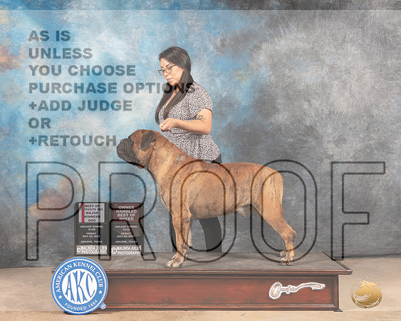 Bullmastiff #19 BOSWDOHBOB Judge Joan Liebes-MMJ_3231-Addison2022-HR3