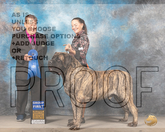 Mastiff #5 Sat G1 Judge Del RichardsMMJ_4534_Mdlnd2022_HR3