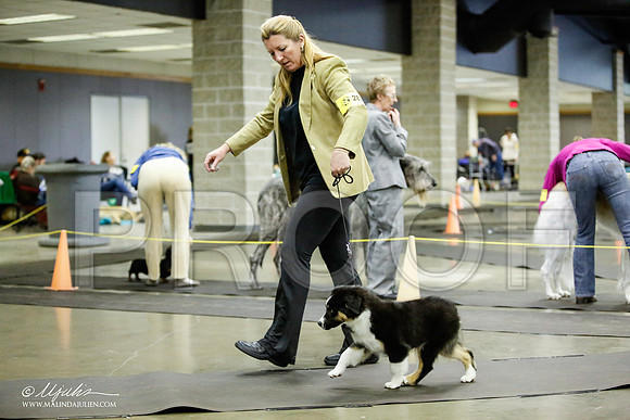 _JJ_6221-BeltonJan2015IABCA-HR3