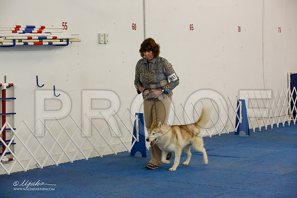 _M3_7548-AddisonHuskyMar2015-HR3