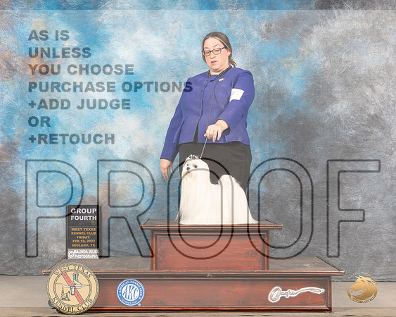 Maltese #7 Sun G3 Judge Jim FehringMMJ_5730_Mdlnd2022_HR3