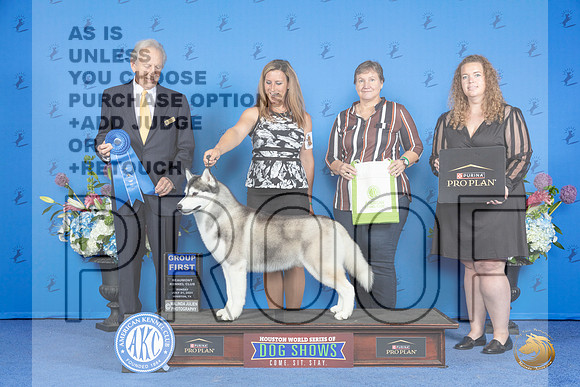 SIberian Husky #9 SUN G1 Judge James Moses__JP_0821_Houston_2024_HR3