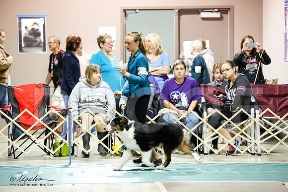 _JN_9425-ASCACollegeStationNov2014-HR3