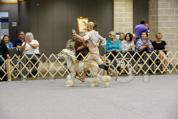 _JJ_7981-AfgBeltonOct2014-HR3