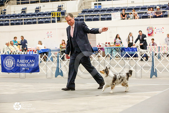 _JJ_1686-AblnMay2014-web