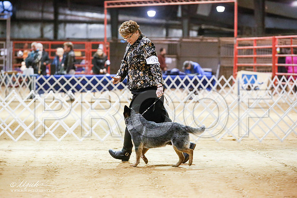 _JN_4425-2-GlenRoseJan2015-HR3