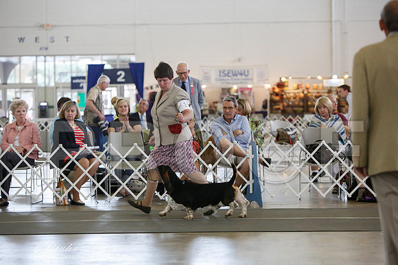 _JJ_2928-DallasJul2014-HR3