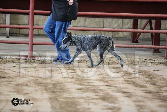 MJ2_0586-WacoFeb14-HR