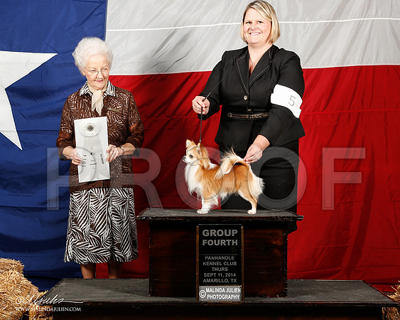 _ST_1429-2-AmarilloSep2014-HR3