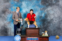 Beagle 13 #24 Wed SB Judge Douglas Johnson