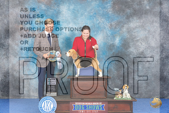 Beagle 13 #24 Wed SB Judge Douglas Johnson__JP_6583_Houston_2024_HR3