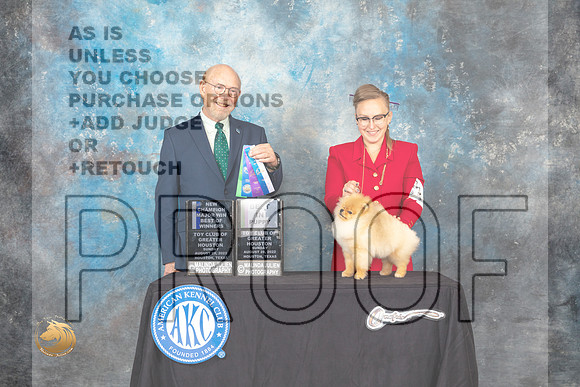 Pomeranian #40 Sun BOWCh Judge Tim Robbins_MJ_0420_HstnTOY_2022_HR3