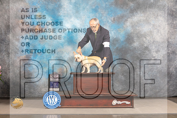 French Bulldog #? FRI WB BOS Major Judge Steven Keating_MJ_5324_Houston_2022_HR3