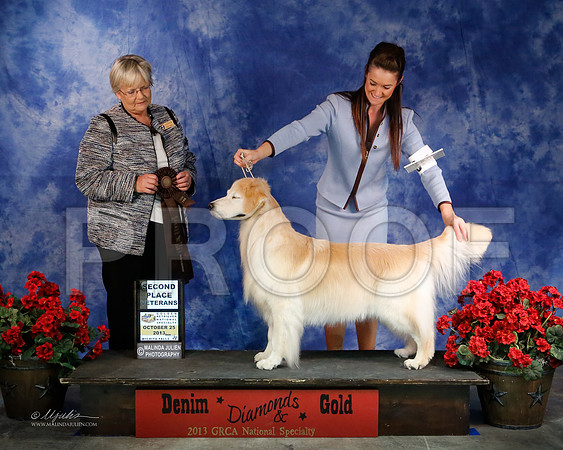 Vet-8358-WFOct2013-HR