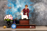 West Highland White Terrier #10 FRI WB BOS Major Judge Barbara Alderman