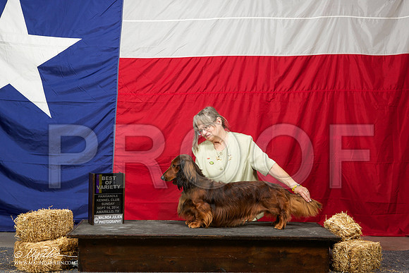 _ST_2096-AmarilloSep2014-HR3