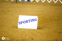 Sporting Group Ring Sun
