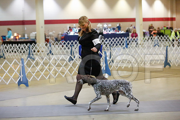 _JJ_6112-AmarilloSept2014-HR3