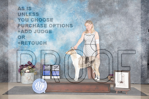 Collie Smooth #12 Sat WBMCH Judge Sulie Greendale-Paveza__JP_7252_Belton_2024_HR3