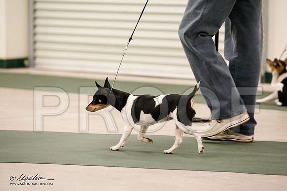 _JN_8726-NrmnNov2014-HR3