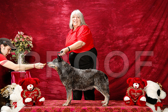 _ST_2930-2-BeltonJan2015IABCA-HR3