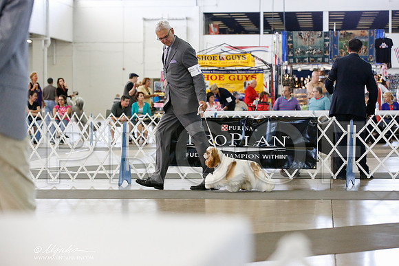 _JN_2613-DallasJul2014-HR3