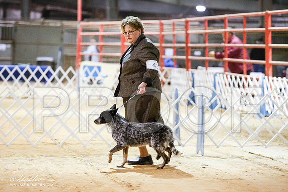 _JN_4256-2-GlenRoseJan2015-HR3