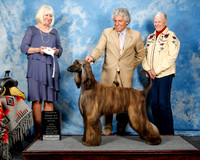 #10 Tues Bred By Exhibitor Jaime Ganoza Judge Jane Sheppard
